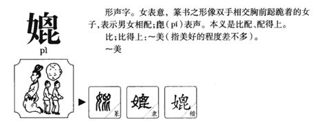 媲 粵音|媲的解釋